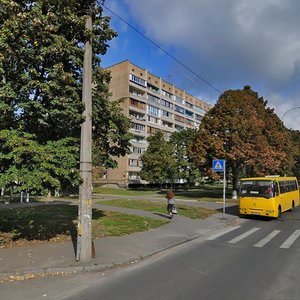 Marshala Rokosovskoho Avenue, 7, Kyiv: photo