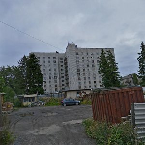 Borovaya Street, 7, Petrozavodsk: photo