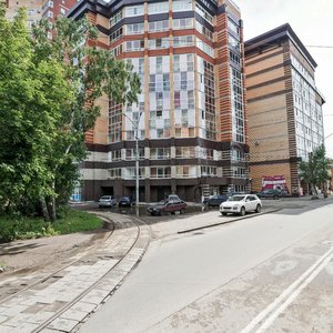 Rozi Luksemburg Street, 81, Tomsk: photo