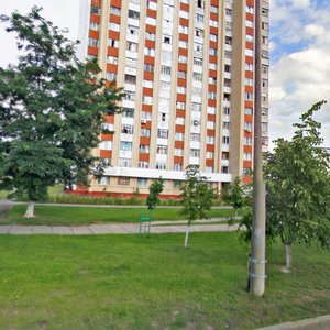 Vulica Kosarava, 17, Gomel: photo