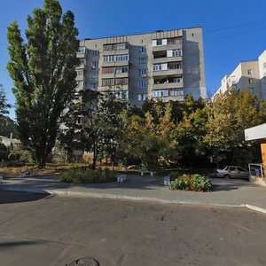 2-a Poperechna vulytsia, 32, Mykolaiv: photo