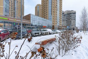 Vyborgskoye Highway, 17к1, Saint Petersburg: photo