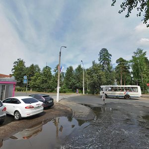Vsevolozhskiy prospekt, 53 ، : صورة