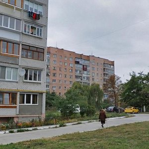 Dniprovska vulytsia, 5, Vyshhorod: photo