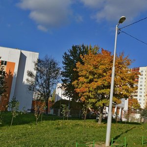 Rakasowskaga Avenue, 50, Minsk: photo