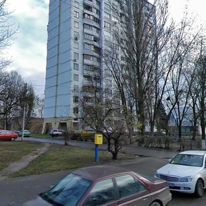 Heroiv Sevastopolia Street, 33, Kyiv: photo