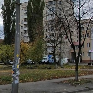 Yaroslava Ivashkevycha Street, 8А, Kyiv: photo