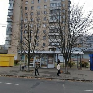 Povitroflotskyi Avenue, 17, Kyiv: photo