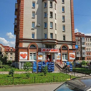 Alekseya Tolstogo Boulevard, 13к1, Pushkin: photo