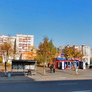 Volodymyra Maiakovskoho Avenue, 63/12, Kyiv: photo