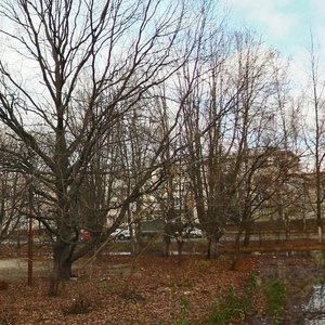 Admirala Nakhimova Street, 10А, : foto