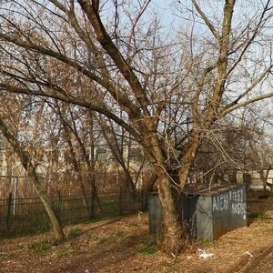 Dachnaya Street, 33А, : foto