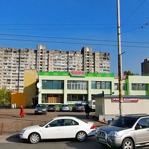 Teodora Draizera Street, 24, Kyiv: photo