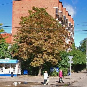 Kommunalnaya Street, 41, Kaliningrad: photo