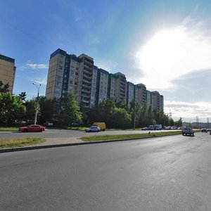 Parashyutnaya Street, 22к1, Saint Petersburg: photo