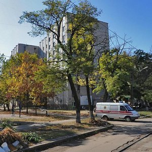 Potomkinska vulytsia, 131, Mykolaiv: photo