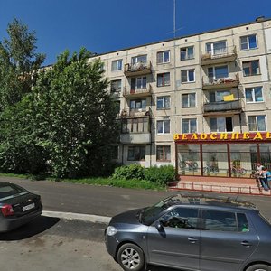 Narodnogo Opolcheniya Avenue, 233, Saint Petersburg: photo