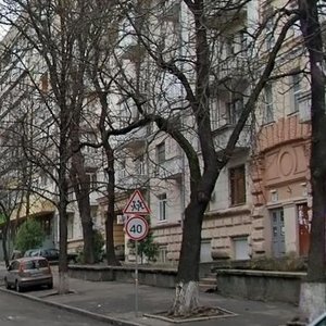 Observatorna Street, 12Б, Kyiv: photo