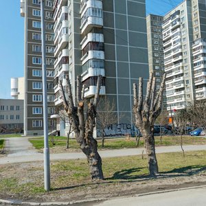 Sheynkmana Street, 134, Yekaterinburg: photo