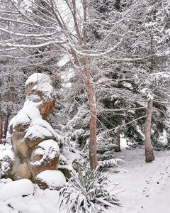 Республика Адыгея, Новая улица, 1: фото