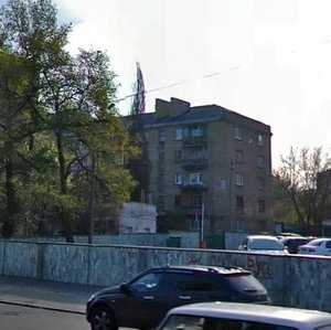 Naberezhno-Luhova Street, 7Б, Kyiv: photo