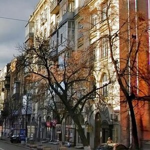 Sichovykh Striltsiv Street, 12, Kyiv: photo