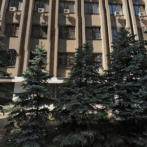 Lamana Street, 19, Dnipro: photo