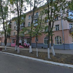 Vasenko Street, 12, Saransk: photo