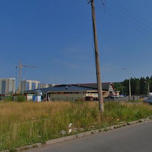 Петрозаводск, Улица Ровио, 11: фото