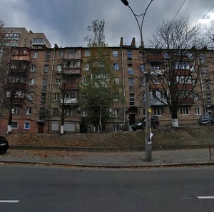 Vadyma Hetmana Street, 25, Kyiv: photo