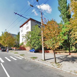 Dmytra Yavornytskoho Avenue, 8, Dnipro: photo