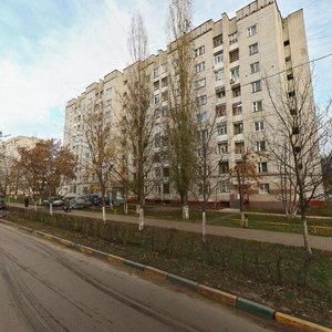 Chelyuskintsev Street, 18, Nizhny Novgorod: photo