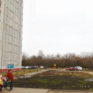 Нижний Новгород, Космическая улица, 48Г: фото
