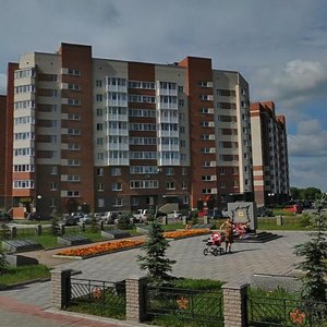Поселок тельмана ленинградская область карта
