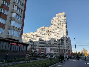 Savushkina Street, 143к1, Saint Petersburg: photo