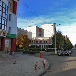 Йошкар‑Ола, Улица Волкова, 104: фото