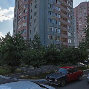 Budarina Street, 3Б, Kyiv: photo