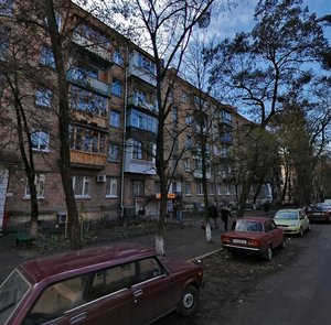 Oleksy Tykhoho Street, No:87, Kiev: Fotoğraflar