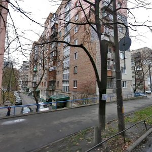 Bohdana Havrylyshyna Street, 10, Kyiv: photo