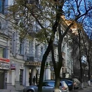 Pushkinska Street, 8, Kyiv: photo