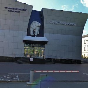 Bolshevistskaya Street, 60А ، : صورة