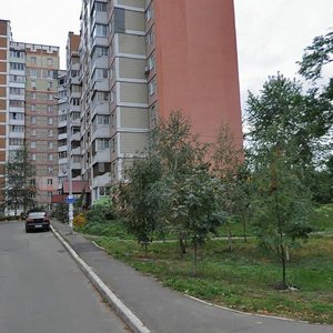 Feodory Pushynoi Street, 49 ، كييف: صورة