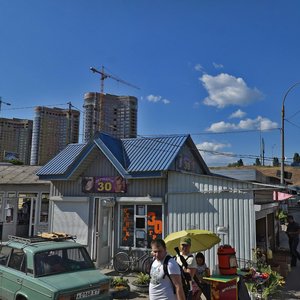 Zarichna Street, 45Т, Kyiv: photo