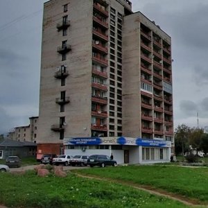 Выборг леншоссе 35 карта