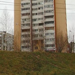 Нижний Новгород, Улица Германа Лопатина, 3к3: фото