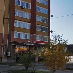 Vovchynetska vulytsia, 124, Ivano‑Frankivsk: photo