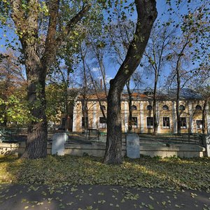 Muzeina vulytsia, 5А, Chernihiv: photo