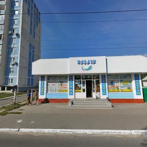 Vulytsia Hryboiedova, 24А, Irpin: photo