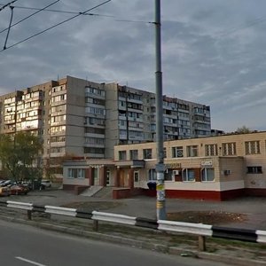 Heroiv Dnipra Street, 53, Kyiv: photo