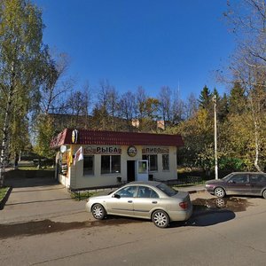 Proletarskaya ulitsa, 51А, Zvenigorod: photo